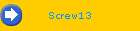 Screw13