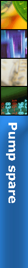 Pump spare