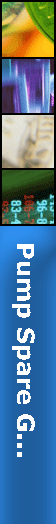                       Pump Spare G...